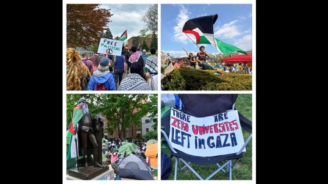 A Collage of photos from the U.S. Gaza War protests